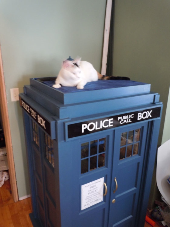 TARDIS Cat Fort