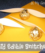 DIY Edible snitches
